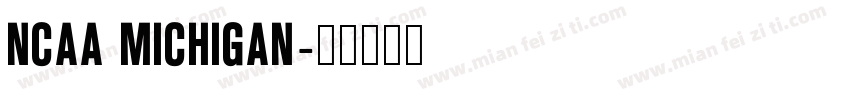 NCAA Michigan字体转换